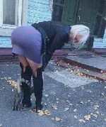 Ищут разовую работу объявление но. 661819: частное дома