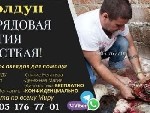 +7(905) 176 77 01
TELEGRAMM
VIBER
WHATSAPP

Если не надоело ходить по беспомощным гадалкам,  то можно продолжать заниматься ерундой.  
Или же провести реальный ритуал и получить результат.  
Вс ...