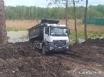 Разное объявление но. 595947: Спил дерев.  Обрізка дерев.  Розчистка ділянки.  Спил аварійних дерев .