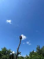 Разное объявление но. 595707: Спил дерев Київ.  Розчищення ділянок.