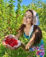 м.  Старая Деревня,  Массажист с опытом и умелыми руками.  Все виды массажа,  приходи на релакс и расслабление. ...