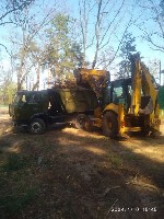 Разное объявление но. 597139: Спил дерев на ділянці та дачі Києві та Київській області.