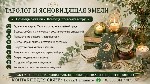 Разное объявление но. 666766: Услуги таролога ясновидящей онлайн.  Снятие порчи.  Приворот.  Гадание.