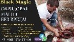 Личный Прием
Дистанционный Прием(Фото-Видео отчет Работ)

Не Работает Со свечами-молитвами заговорами!
НАДЕЖНАЯ ПРОВЕРЕННАЯ ОБРЯДОВАЯ МАГИЯ !
ЖЕСТКИЕ И ЭФФЕКТИВНЫЕ МЕТОДЫ!

Все практики Эффекти ...