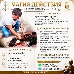 Разное объявление но. 662777: Приворот без последствий в гамбурге,  маг и магические услуги в гамбурге,  онлайн