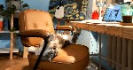 Ищем амбициозных и креативных людей,  готовых начать карьеру в сфере рекламы! 🎯 

Что предлагаем:  
- Дистанционная работа
- Стажировка с обучением (1 месяц) – 1500₽ за смену.  
- График:  5/2 с  ...