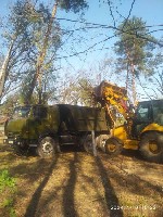 Разное объявление но. 595225: Спил дерев на ділянці та дачі Києві та Київській області