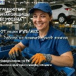 Производство объявление но. 652067: Упаковщица без опыта г.  Советск