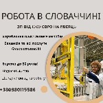 Работа за рубежом объявление но. 595562: Безкоштовна вакансія в Словаччину 1100 Євро на міс