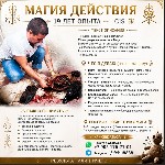 Разное объявление но. 666925: Гадалки в Хабаровске — Контакты и отзывы