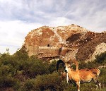 Транспорт, автобизнес объявление но. 656597: Такси из Актау в Караман ата,  Бекет ата,  Шопан ата Адай ата