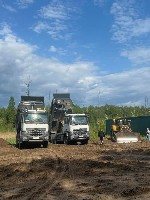 Разное объявление но. 595807: Спил дерев.  Обрізка дерев.  Розчистка ділянки.  Спил аварійних дерев .