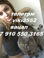 Ищут разовую работу объявление но. 652354: выжму все соки в постели