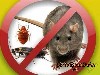 Профессиональное выведение клопов, тараканов, муравьев, клещей, короедов и прочих насекомых с гарантией то 3-х месяцев до 1-го года. А также избавим от крыс, мышей, защитим Ваши огороды от кротов. В б ...