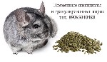 Требуются объявление но. 226839: Корма для шиншилл, ферма по разведению шиншилл