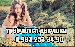 Требуются объявление но. 260295: Высокооплачиваемая работа для девушек в Кемерово.