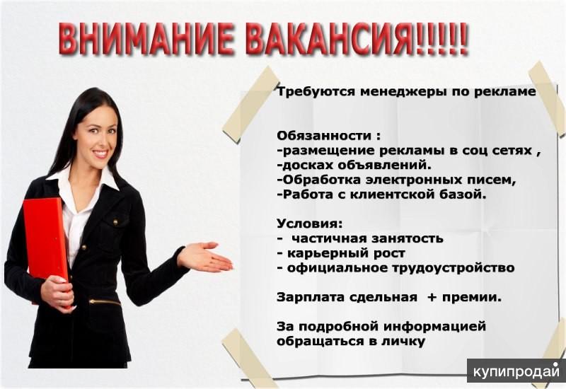 Объявление о поиске работы образец