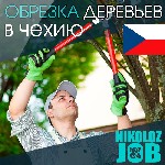 Работа за рубежом объявление но. 309078: Официальная работа в Чехии. Обрезка садовых деревьев (февраль-апрель)