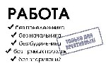 Удаленная работа, работа на дому объявление но. 372472: Оператор ПК