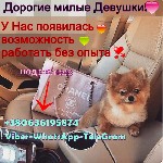 Дорогие милые девушки, в связи с большим объемом работы приглашаю Вас к нам в дружную команду, если ты действительно хочешь зарабатывать и у тебя приятная внешность то тебе к нам: Твой возраст от 18 д ...