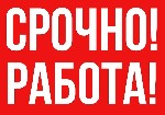 Удаленная работа, работа на дому объявление но. 484235: Ответственный сотрудник