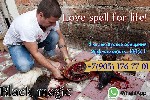Приворот в Словении. Денежная магия в Словении. Ритуалы и обряды в Словении. Гадание В Словении. Колдун В Словении. Порча В Словении. И многое другое. 100 % результаты. Опыт успешной работы более 18 л ...