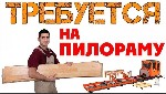 В компанию по производству пиломатериалов требуются:  

1.  Рамщики – от 60 000 рублей
2.  Подрамщики от 50 000 рублей;  
3.  Производители поддонов – от 45 000 рублей;  
4.  Разнорабочие – от 30 ...