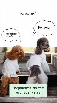 Производство объявление но. 631329: Технолог на швацьке виробництво(сумки,  лежаки)