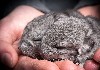 Бизнес, менеджмент объявление но. 190835: Нужны партнёры по России